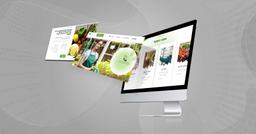 "Specialized website for processing various agricultural crops and exporting them to European and Arab markets." cyparta